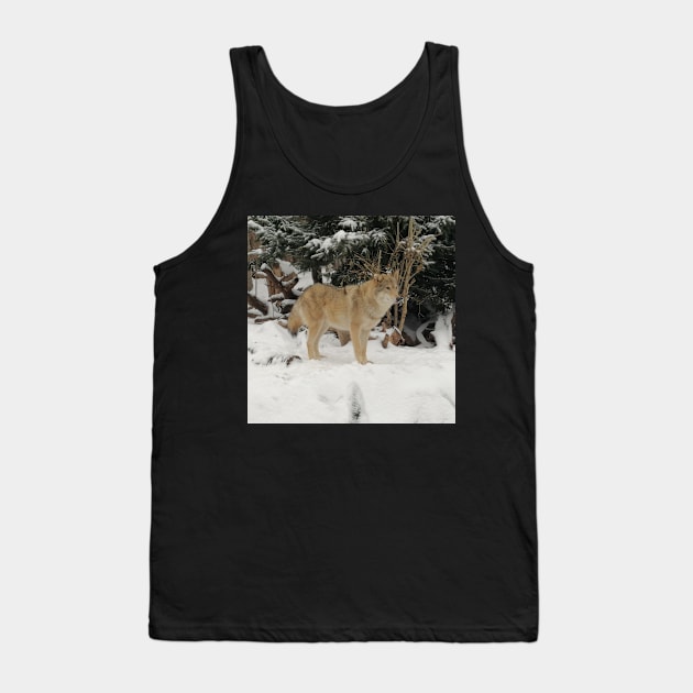 Snow Wolf Tank Top by NatureDrawing